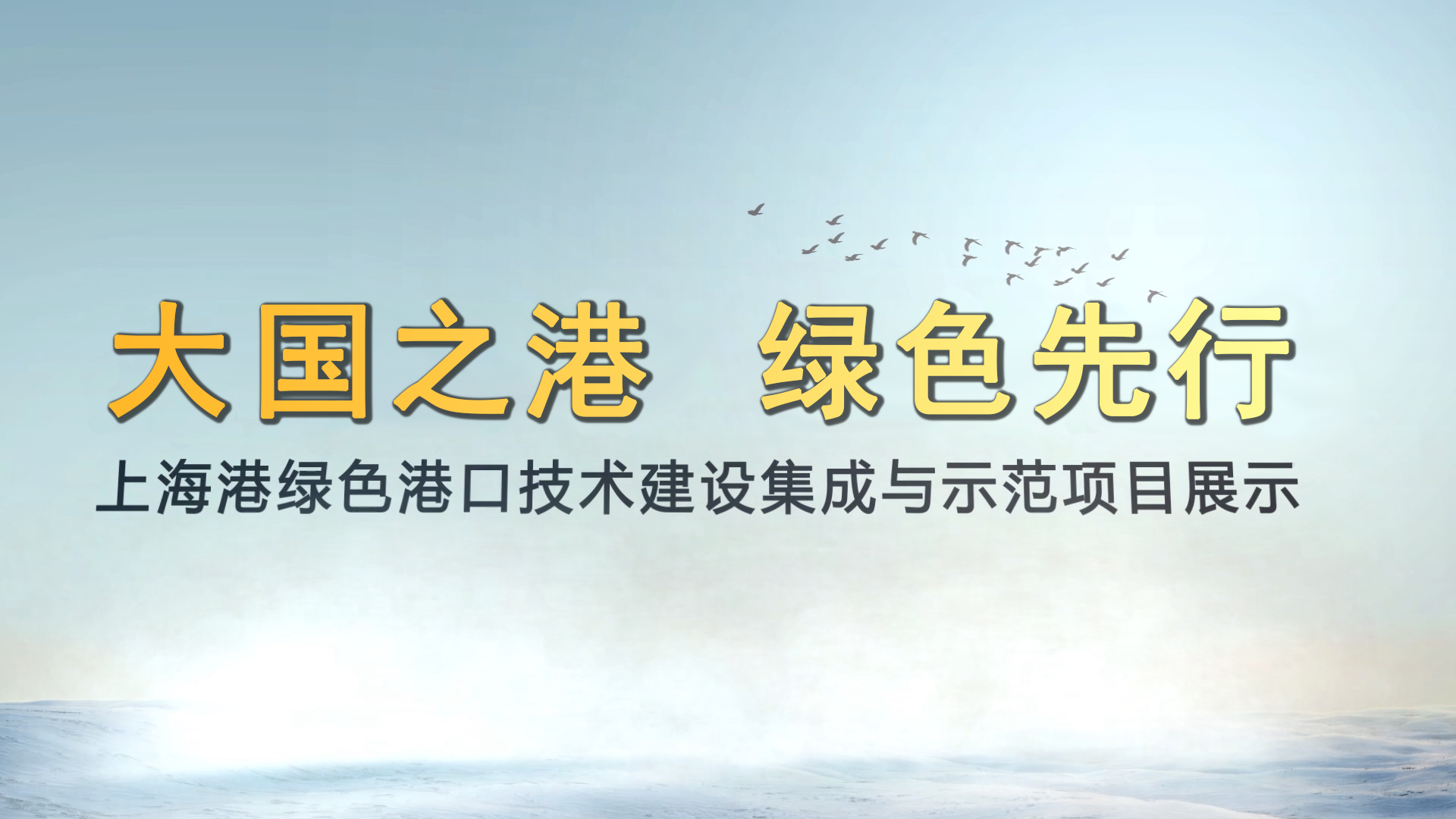 上海港绿色口岸手艺建设集成与树模项目展示
